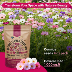 Organo Republic seeds sown in soil, demonstrating easy planting and germination