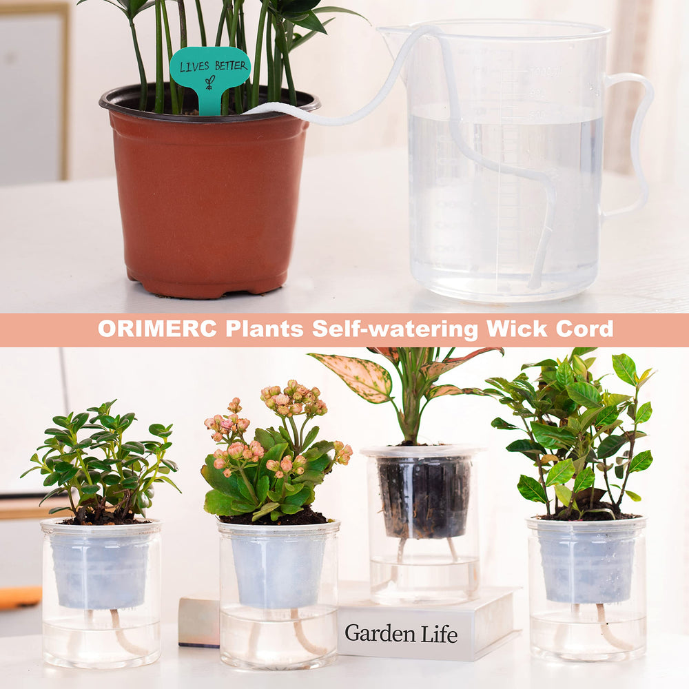 ORIMERC reusable plant labels beside seedlings showing clear plant ID