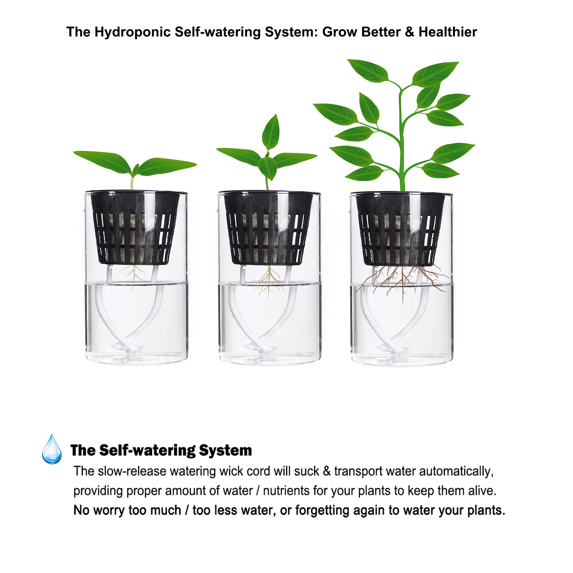 ORIMERC net pot installed in Kratky jar illustrating passive hydroponic use