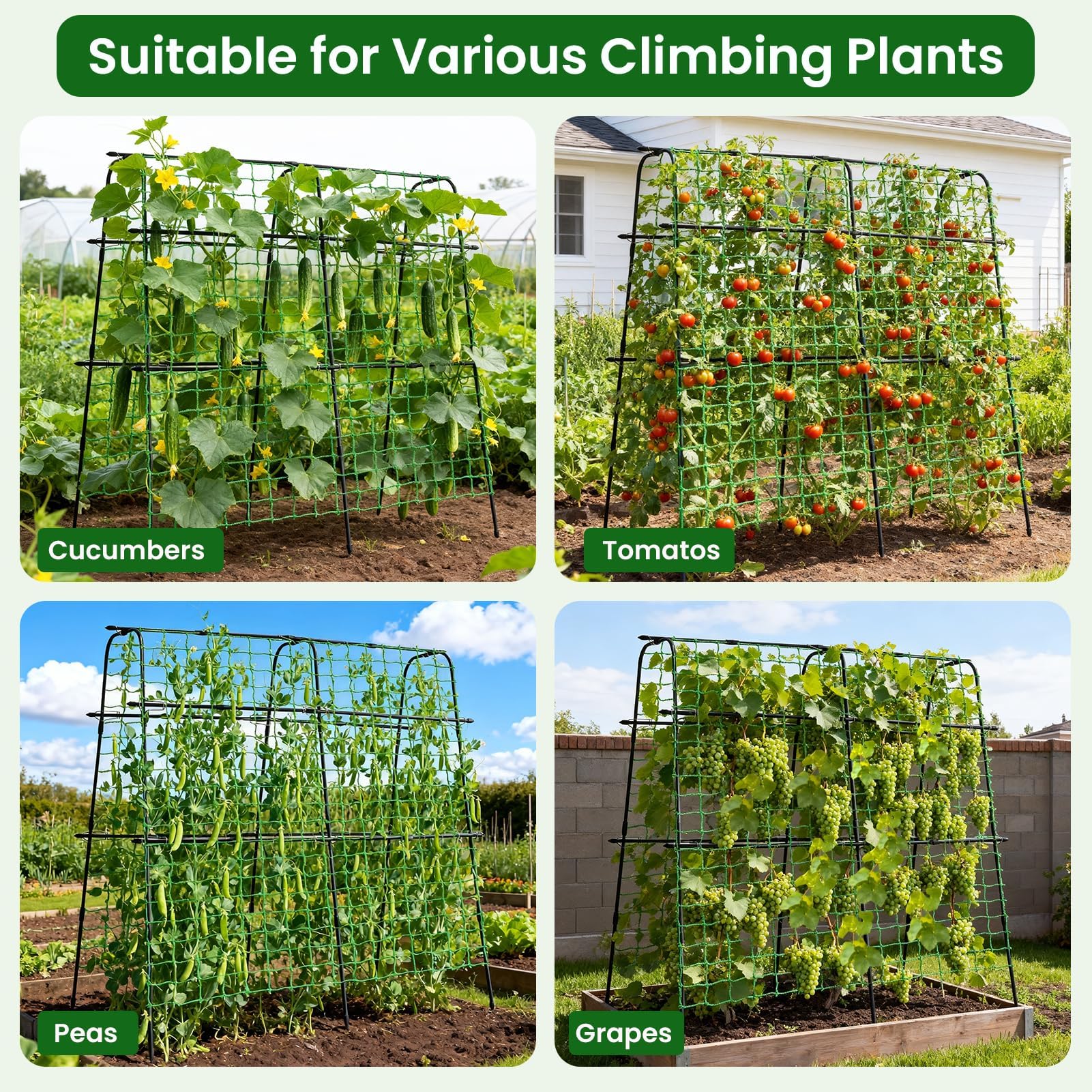 OTOSUNNY trellis next to gardener showing size and scale benefit