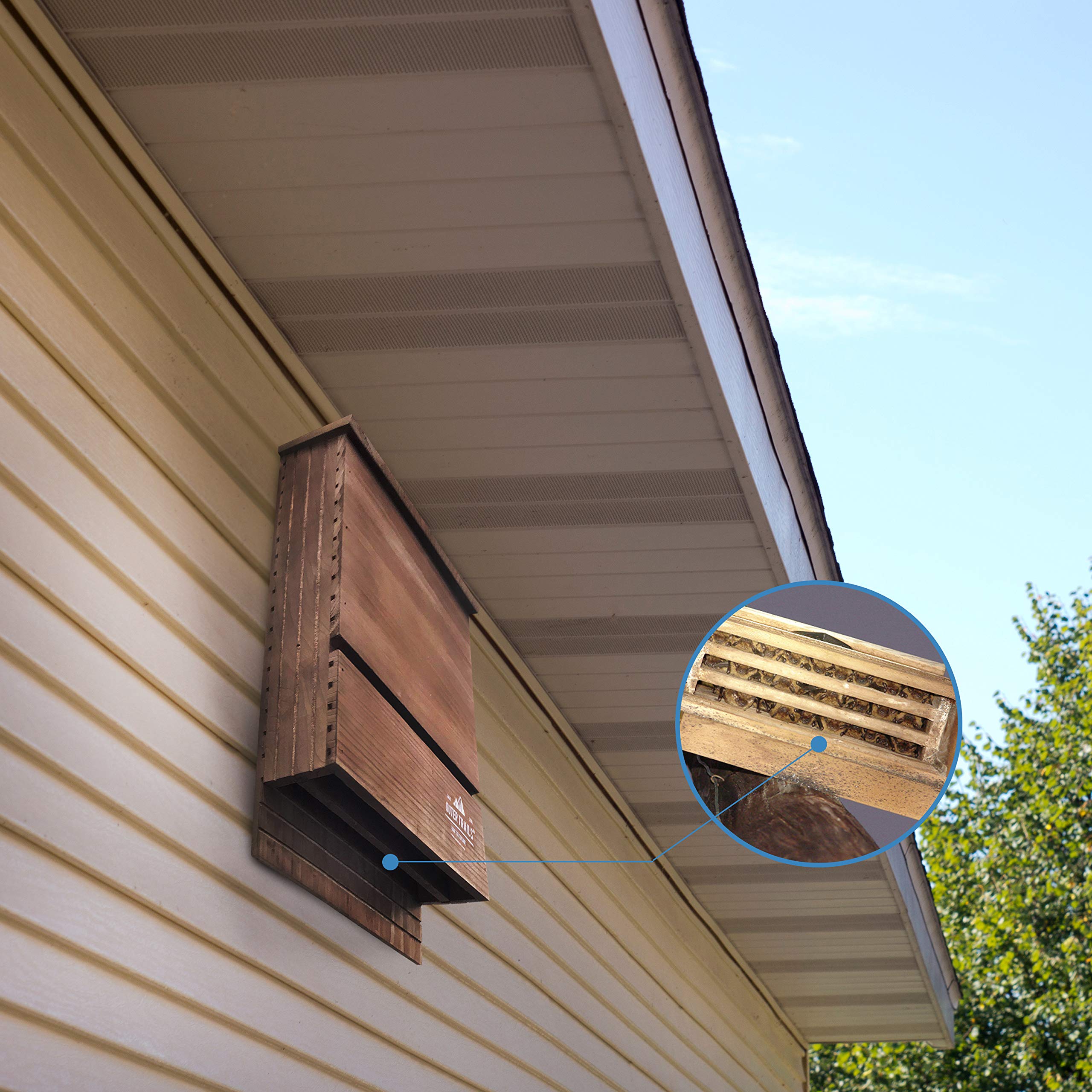 Outer Trails bat house in backyard garden illustrating wildlife-friendly habitat and aesthetic