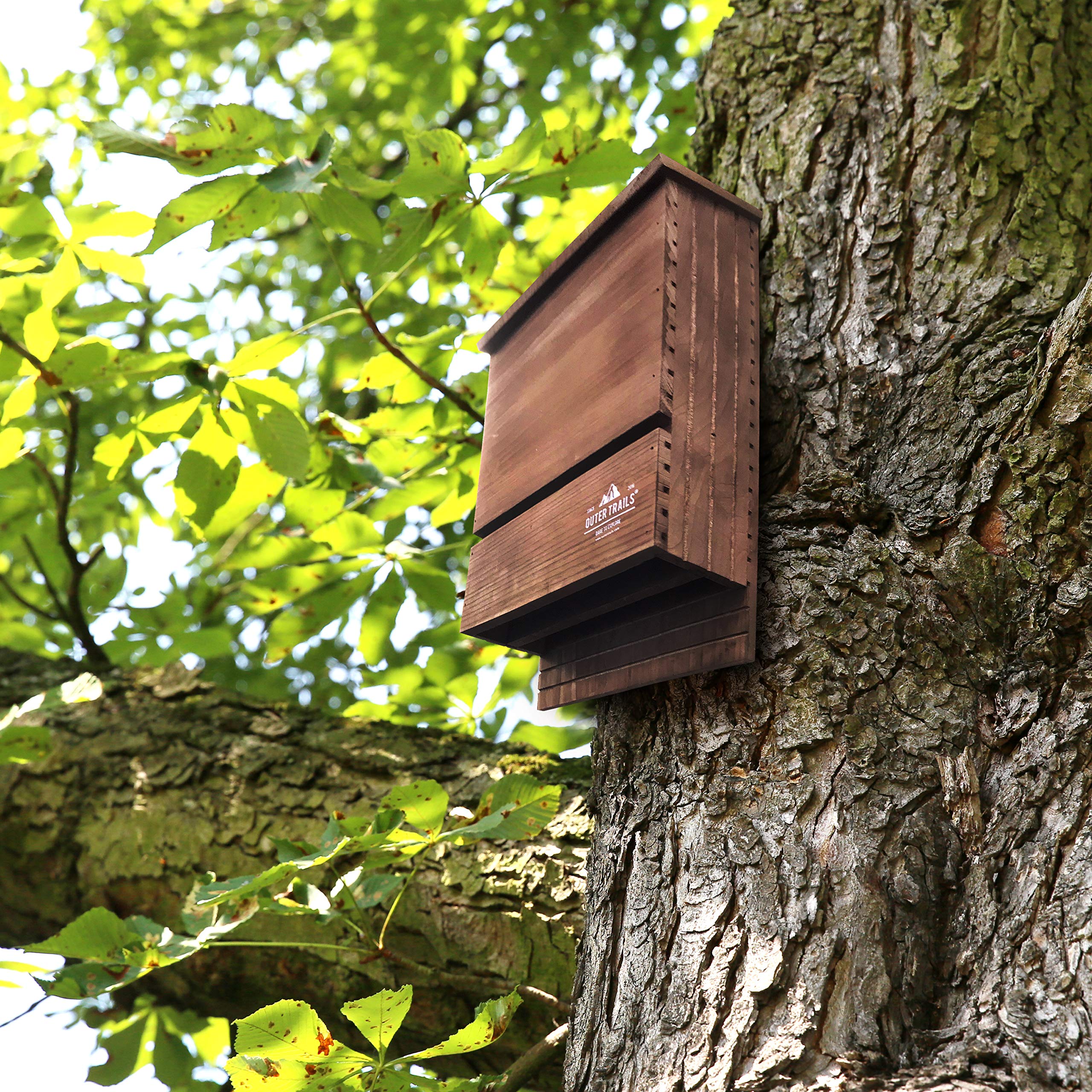 Outer Trails side profile showing 3.5-inch depth and chamber spacing for stable roosting
