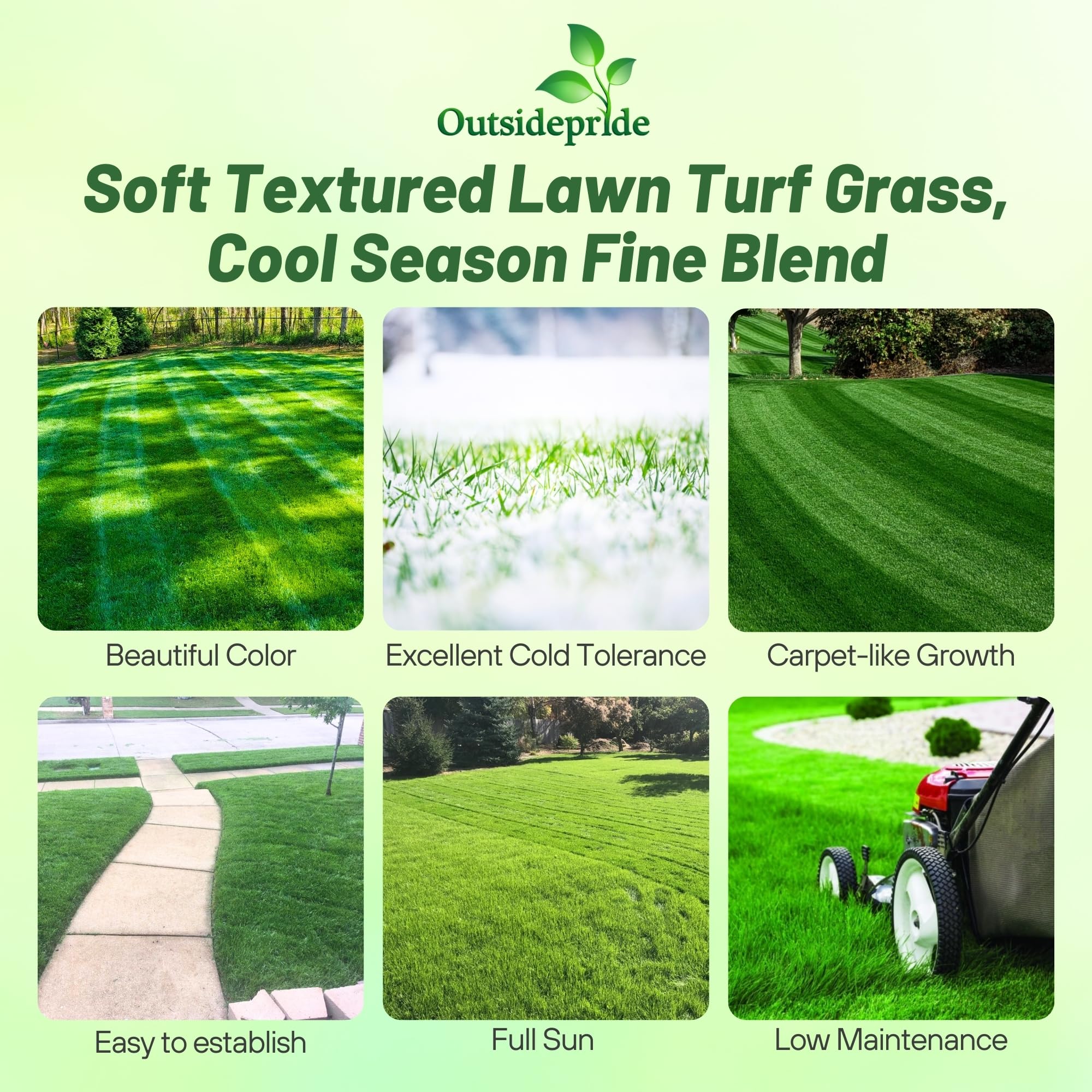 Outsidepride close-up of OptiGrowth-coated seed showing coating and ease of handling