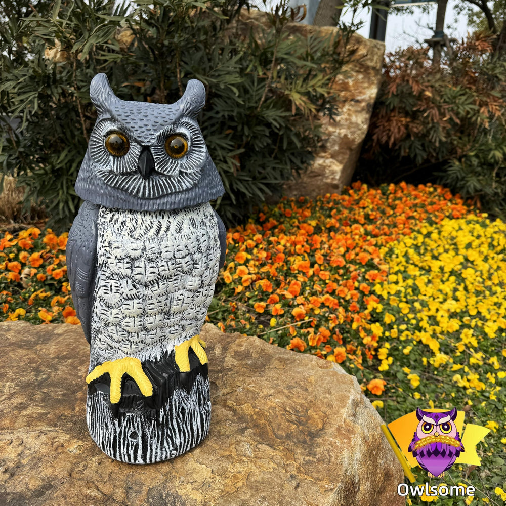 Owlsome on patio lifestyle placement demonstrating decorative appeal and function