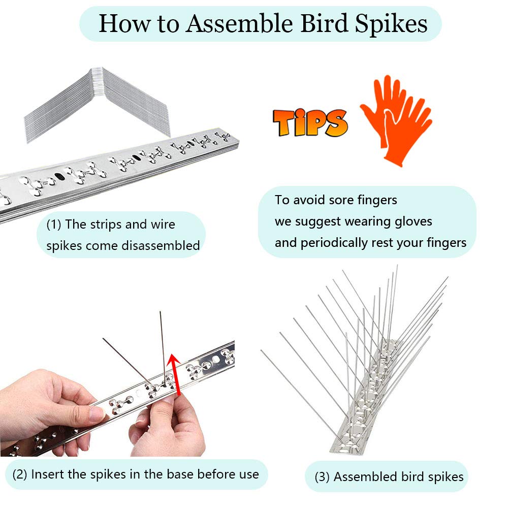 PANGCH spikes installed on fence preventing pigeon perching