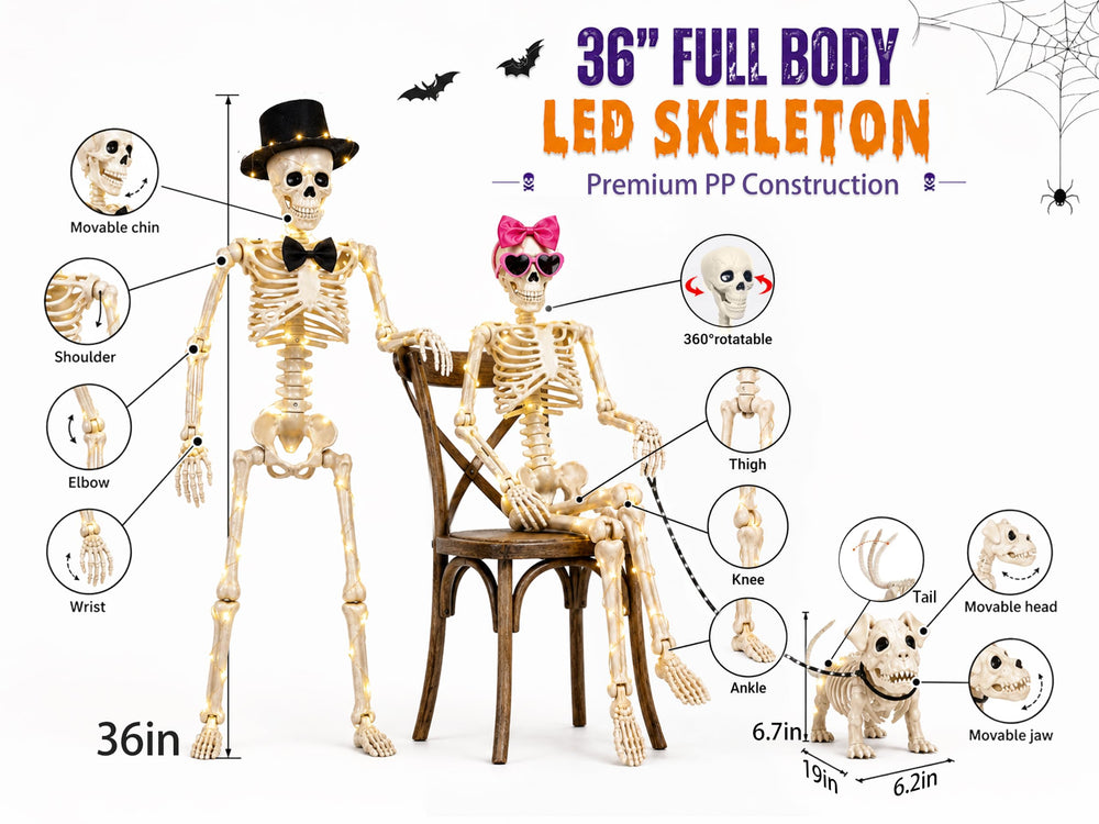 Parsin close-up of skeleton bone texture highlighting realistic detail and durability