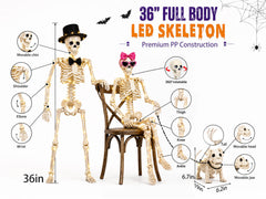 Parsin close-up of skeleton bone texture highlighting realistic detail and durability