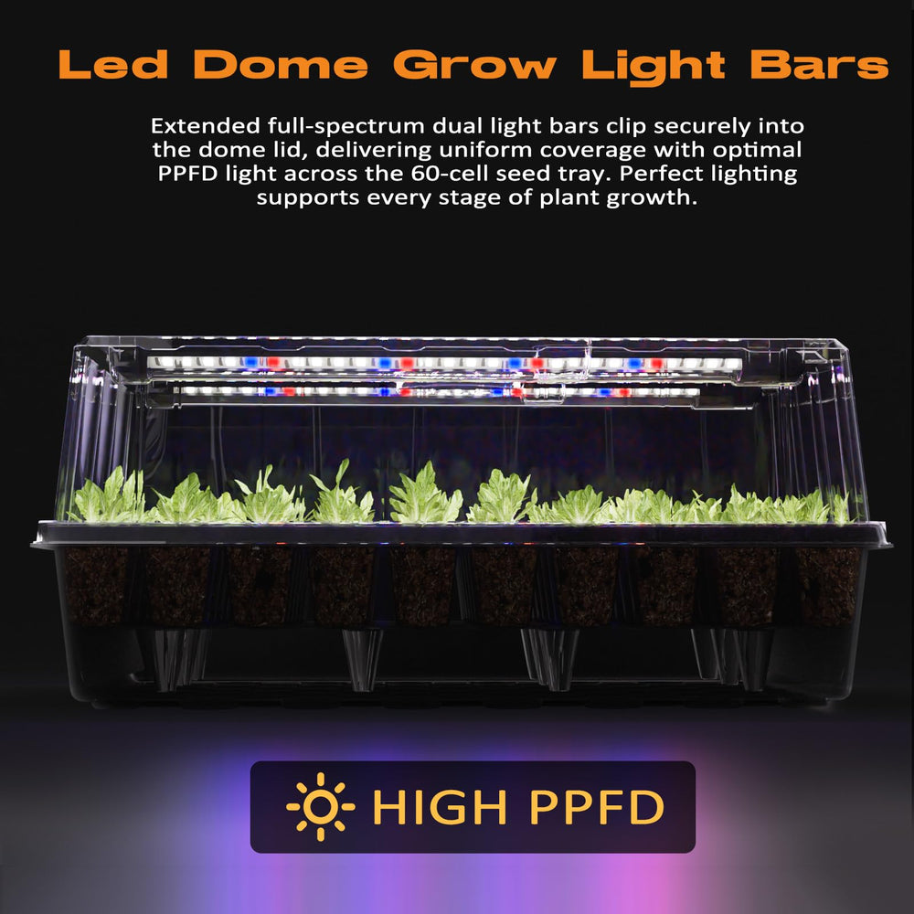 Patigrow dome close-up showing durable PET texture and humidity retention benefit