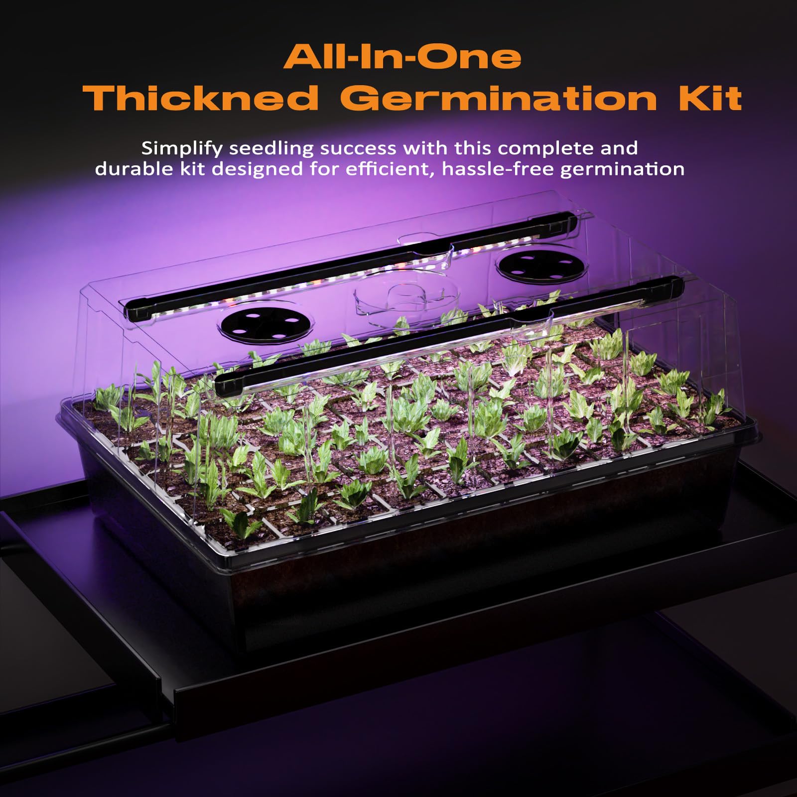 Patigrow lifestyle kitchen window setup showing easy indoor gardening convenience