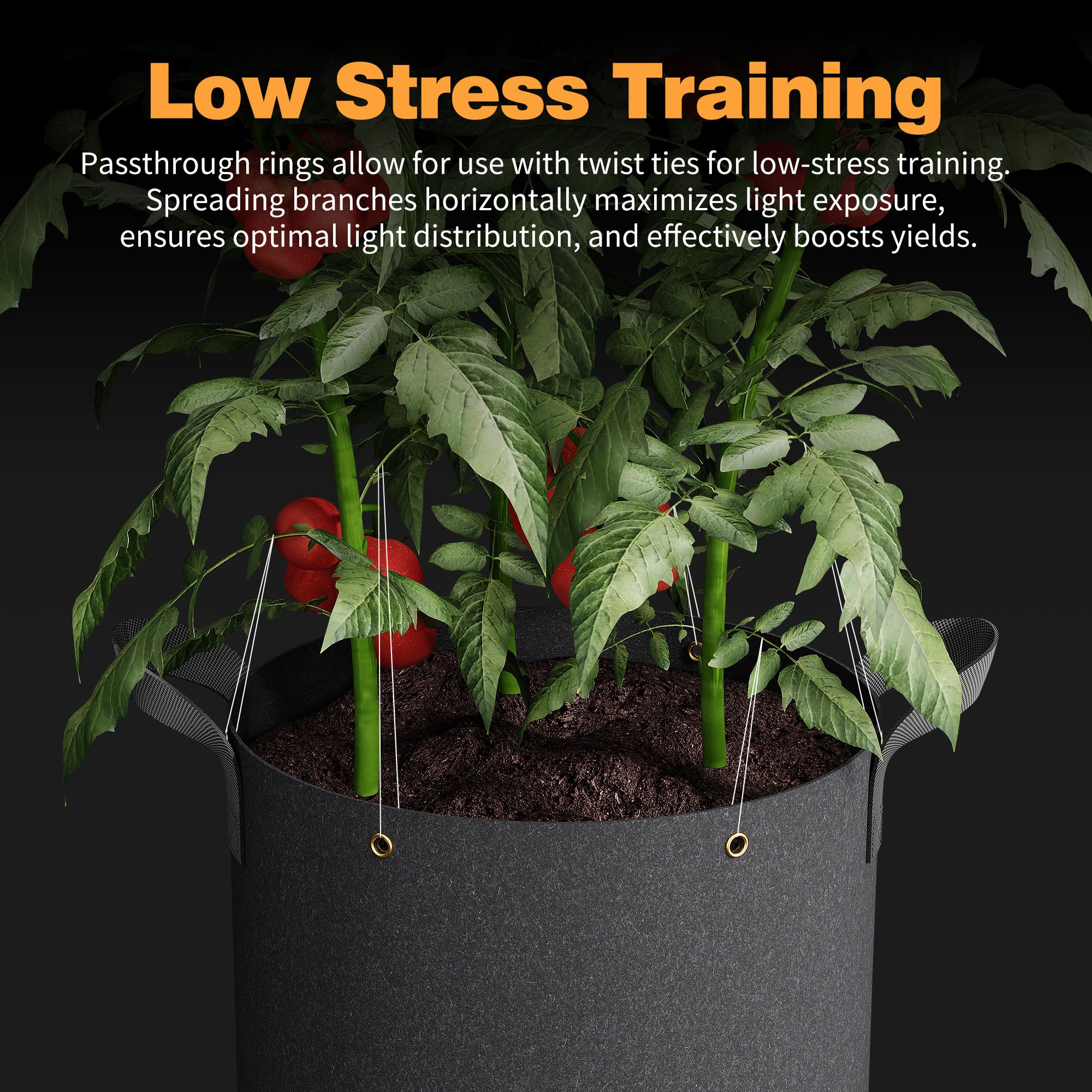 Patigrow metal rings and reinforced handle stitching for secure training and lifting