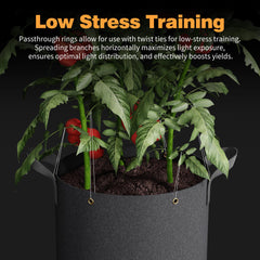 Patigrow metal rings and reinforced handle stitching for secure training and lifting