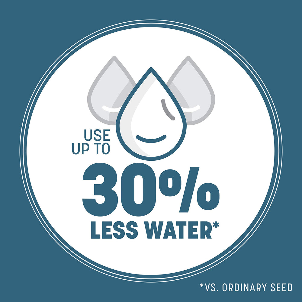 Pennington coated seed close-up showing rapid germination benefit