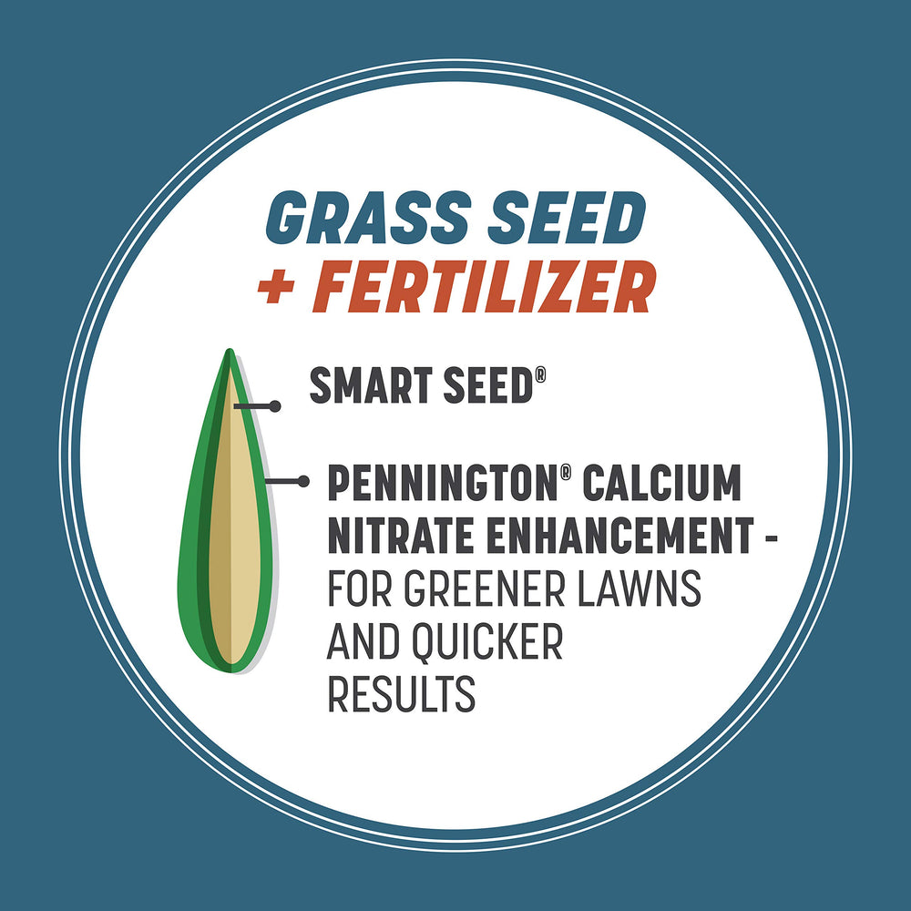 Pennington seed in hand showing bag size and coverage perspective