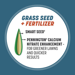 Pennington seed in hand showing bag size and coverage perspective