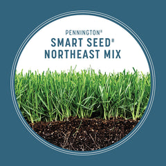 Pennington seed scattered on soil for easy sowing and contact