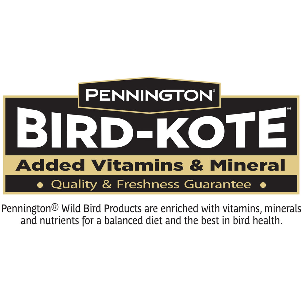 Mixed songbirds gathered at feeder using Pennington sunflower chips