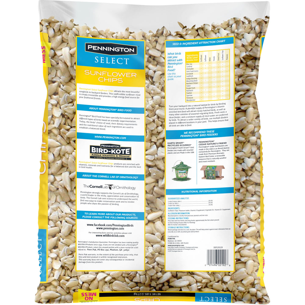 Close-up of Pennington sunflower hearts texture and high-energy appeal