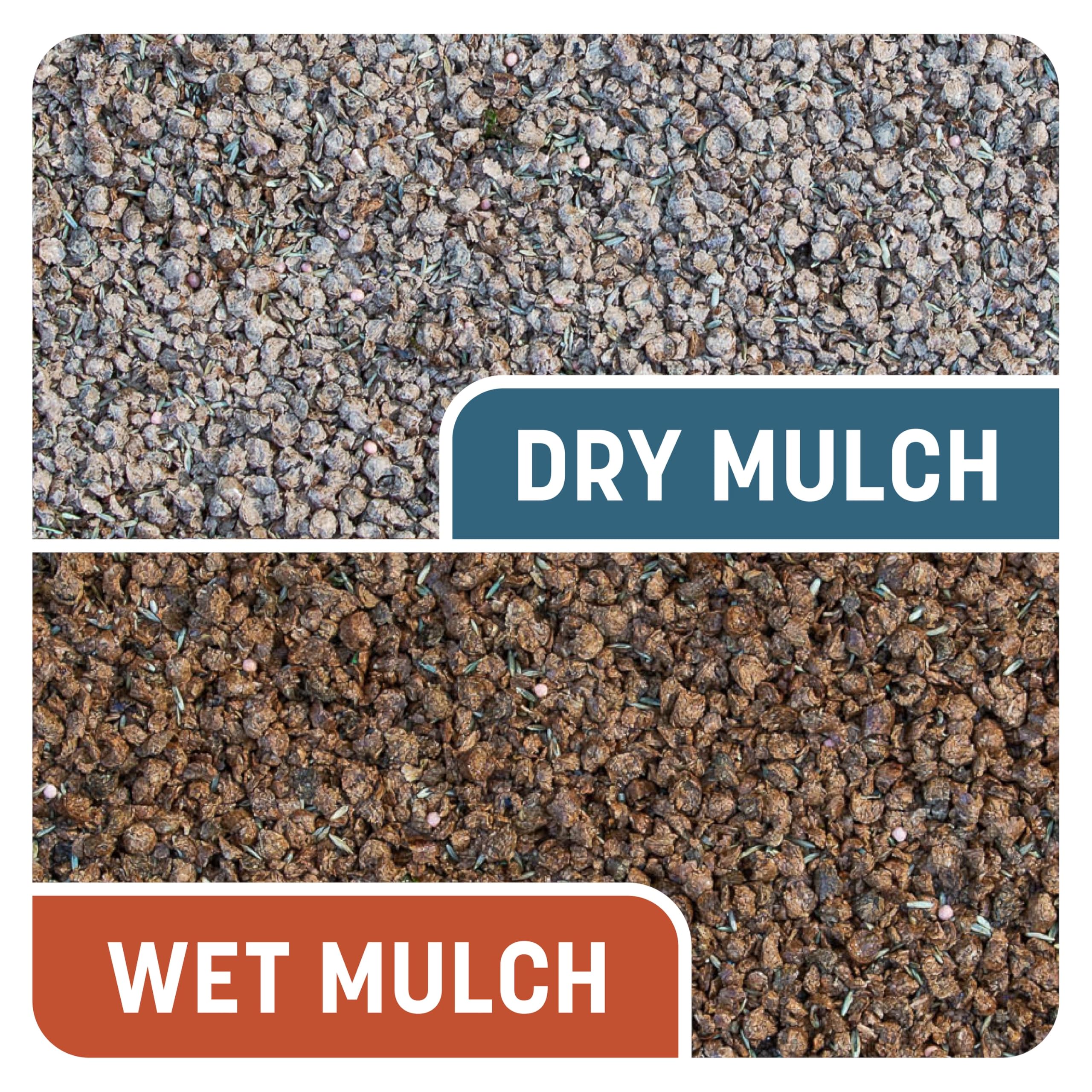 texture of Pennington tackifier and mulch protecting seed from washout