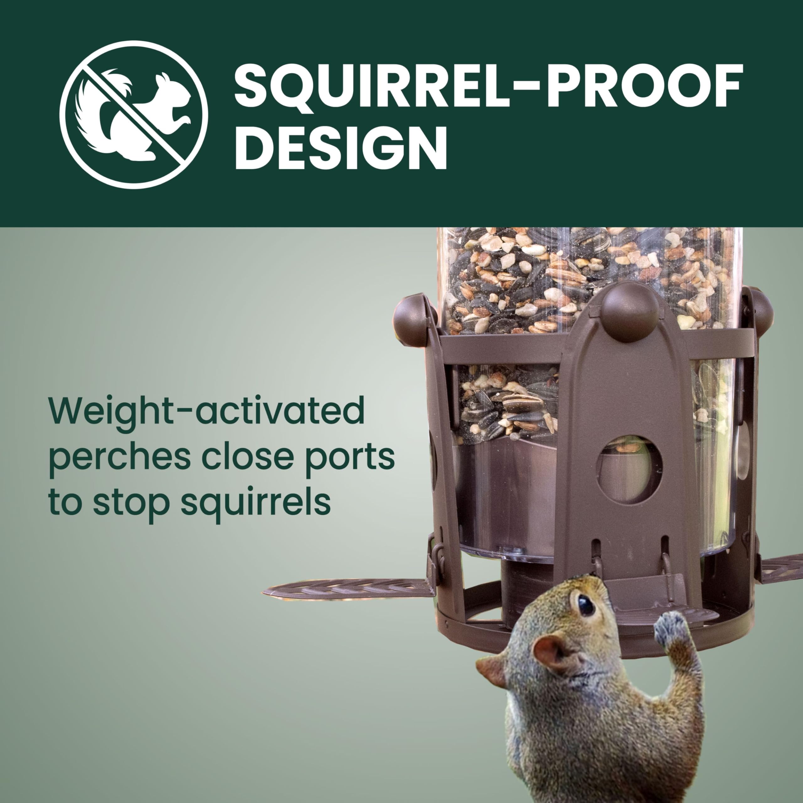 Perky-Pet Flexport close-up showing stable perch and reduced seed waste