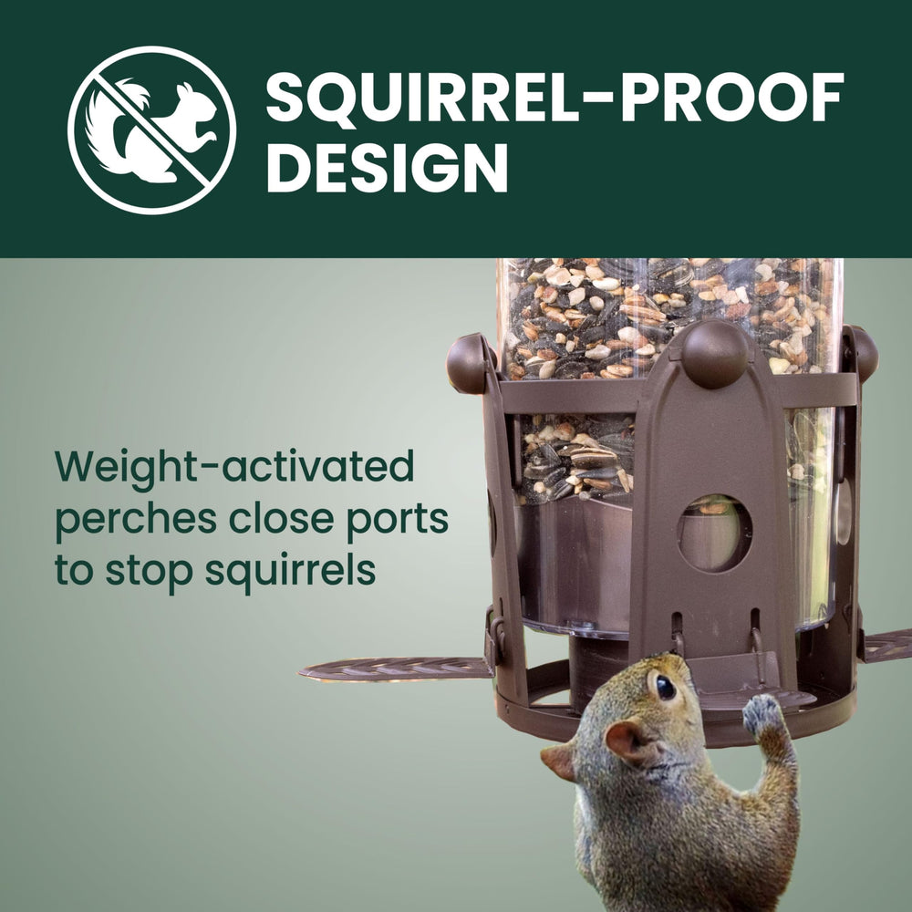 Perky-Pet Flexport close-up showing stable perch and reduced seed waste