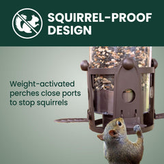 Perky-Pet Flexport close-up showing stable perch and reduced seed waste