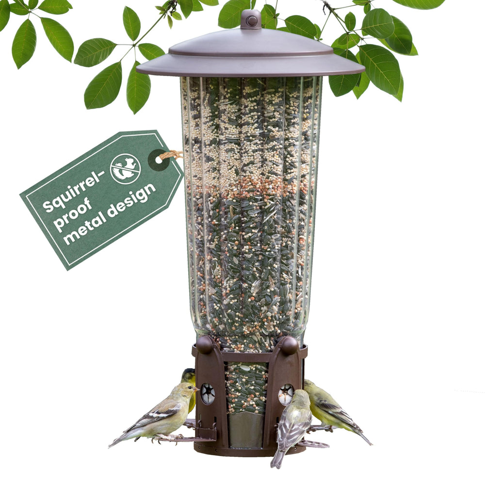 Perky-Pet front view showing four feeding stations and durable finish