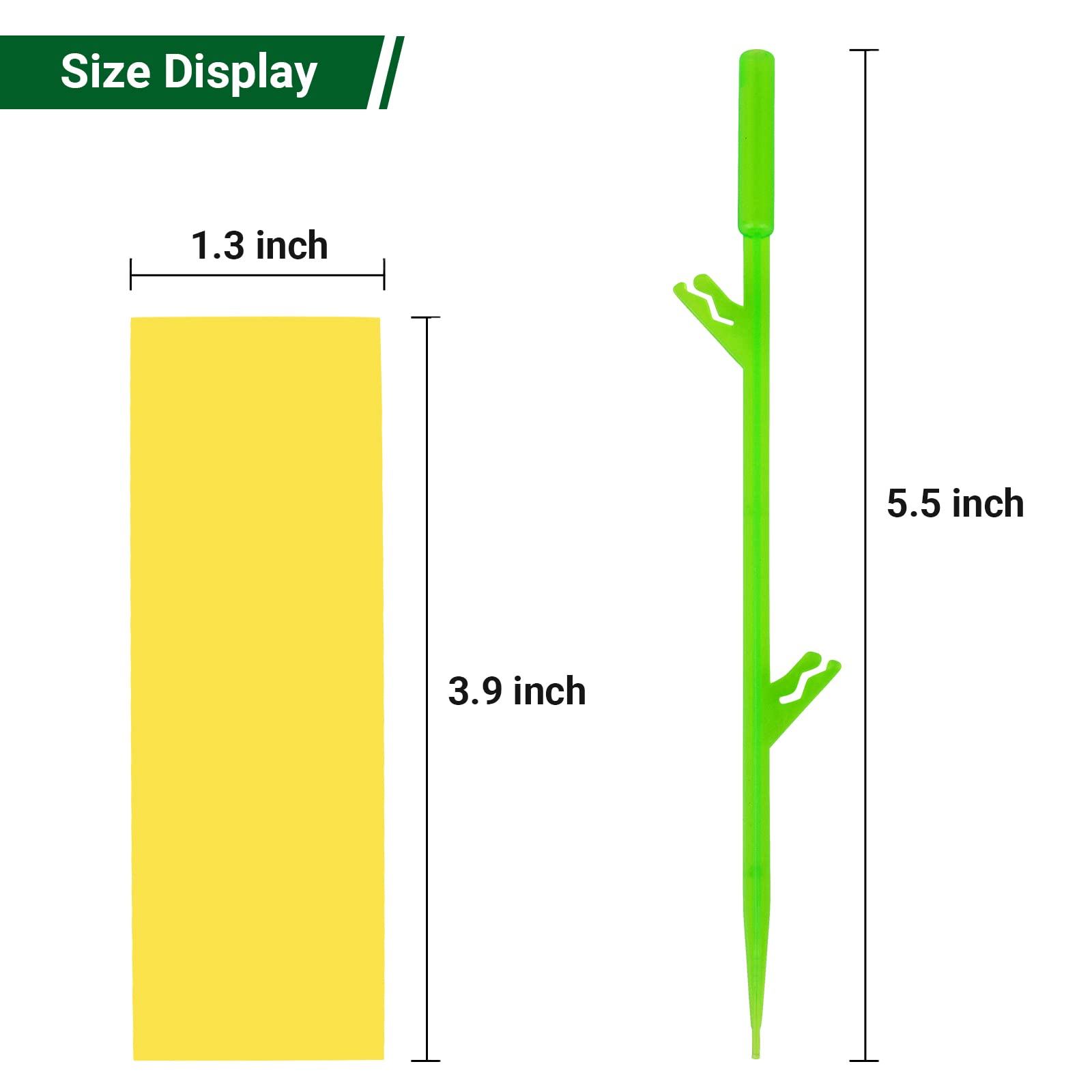 PESTCON stake placed in potted plant, effective trapping at canopy level
