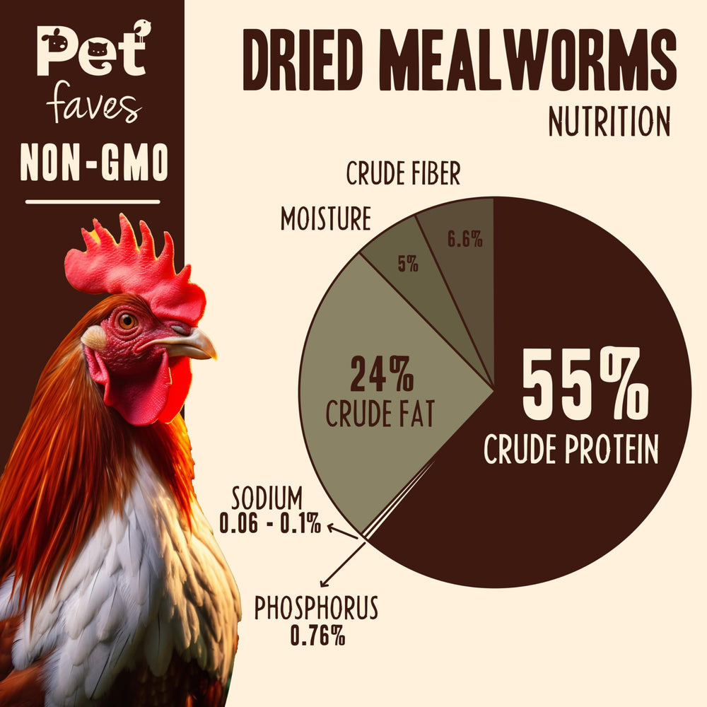 Pet Faves mealworms being fed to a reptile offering a convenient protein source