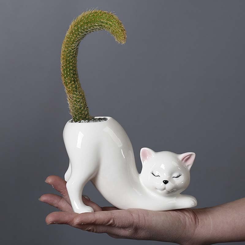 Picvelno tailless cat planter front view showing cute design and display benefit