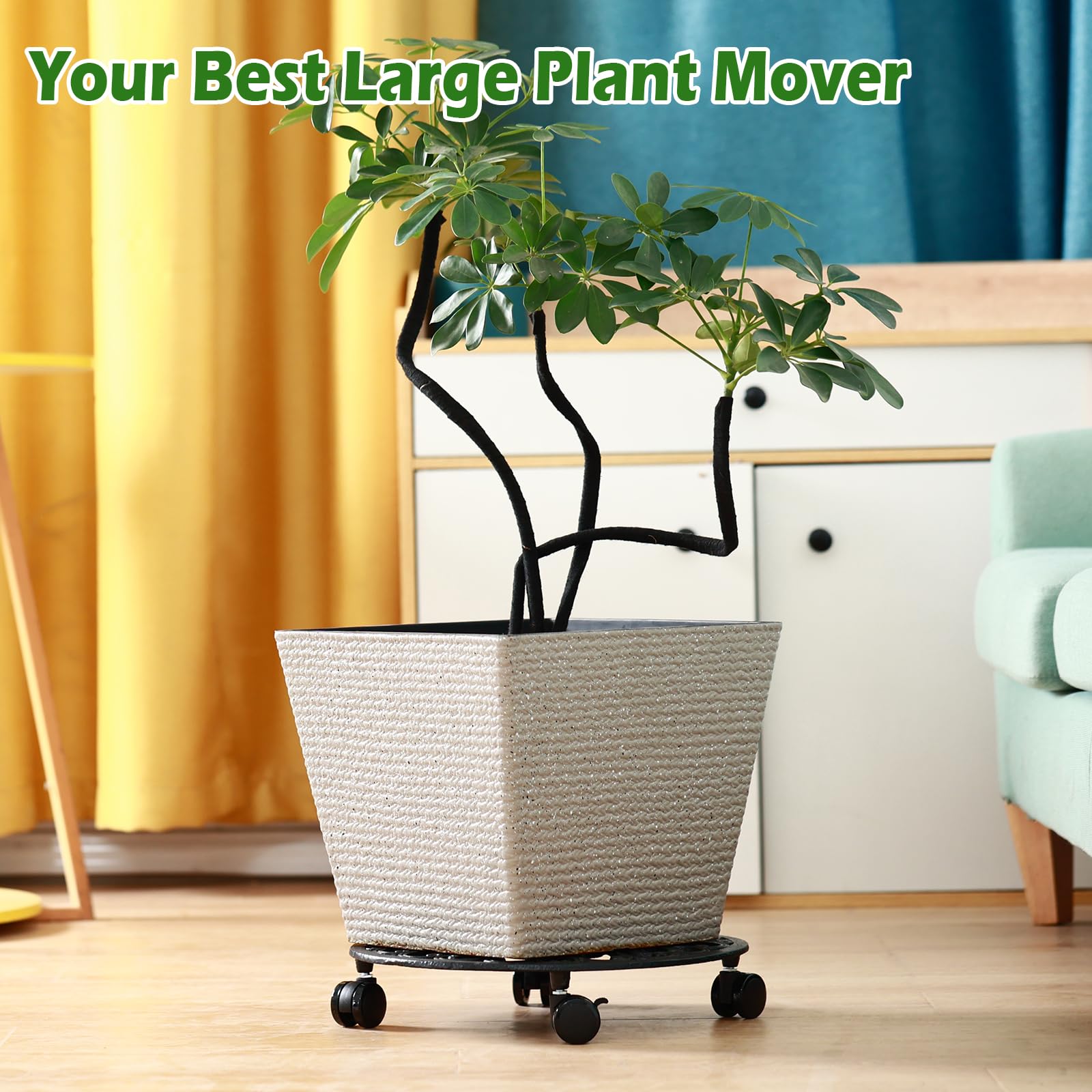 Planterhoma with potted plant in living room demonstrating easy repositioning