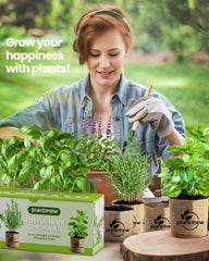 PLANTMEW biodegradable pots lined on a sunny windowsill for compact growing