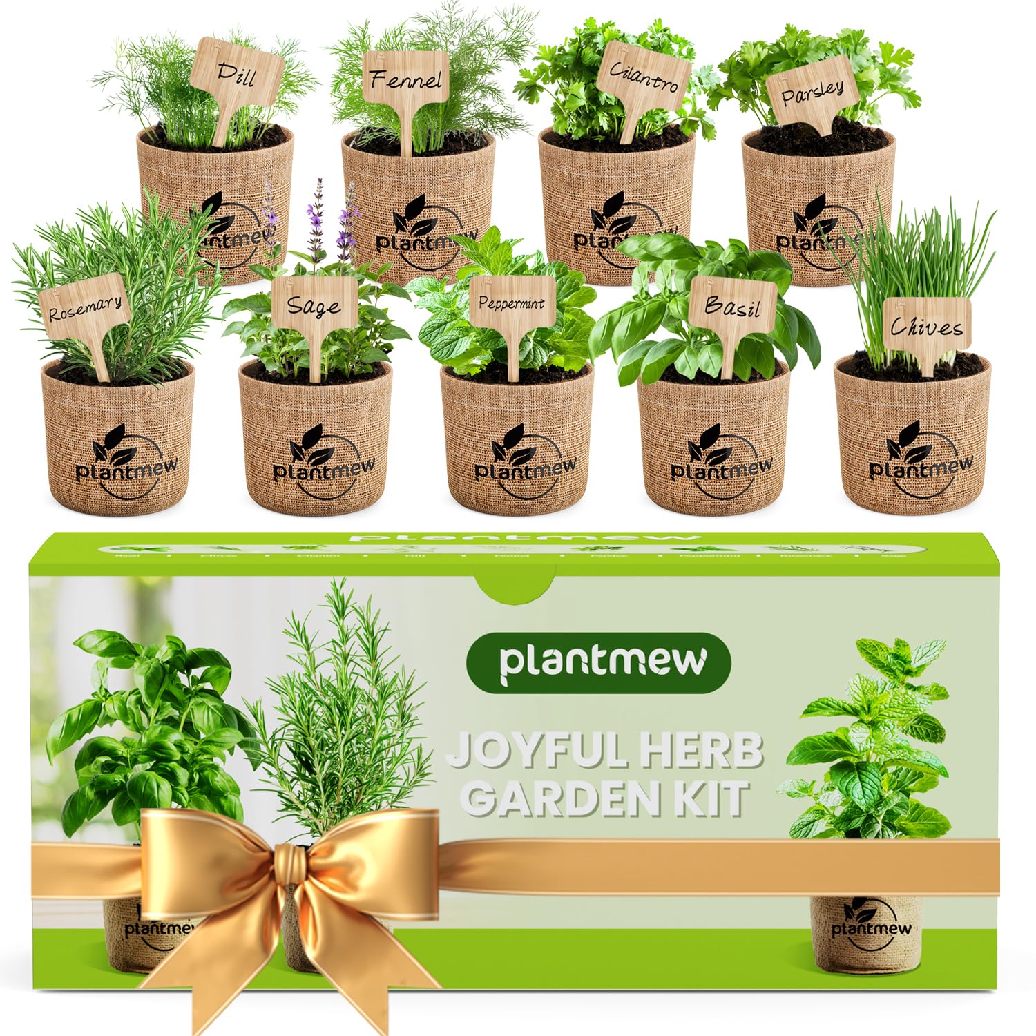 PLANTMEW front packaging showing full kit contents and gift-ready box benefit