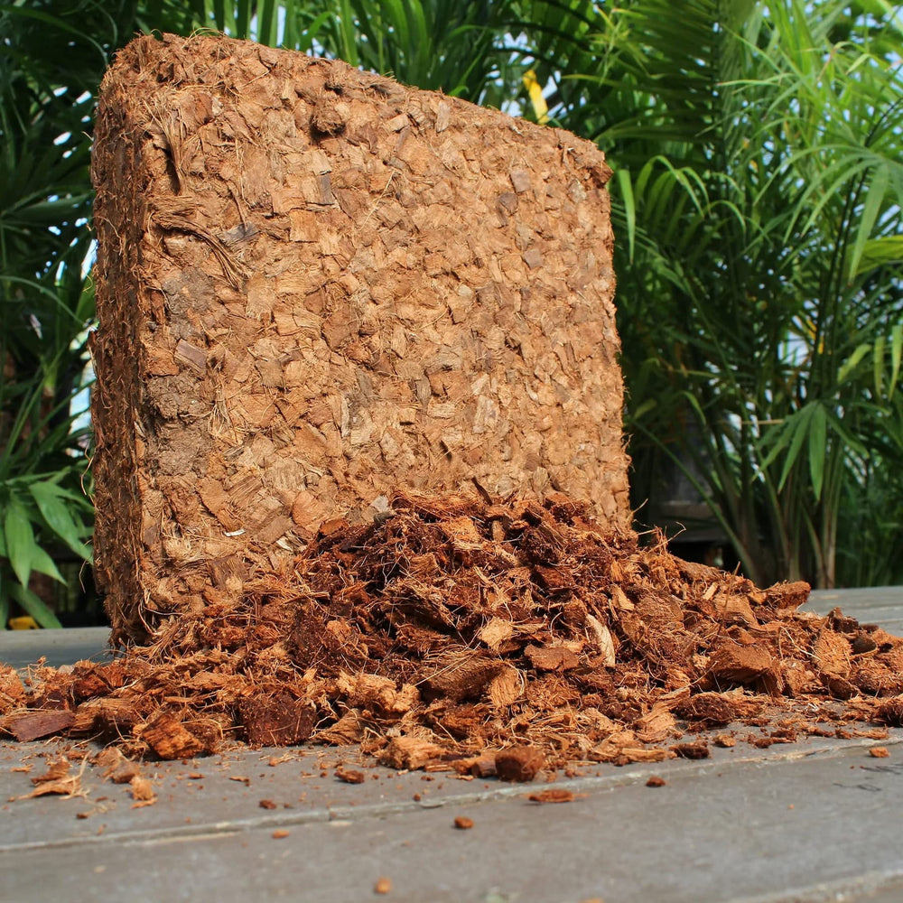 plantonix product label close-up showing natural ingredients, recycled coconut benefit