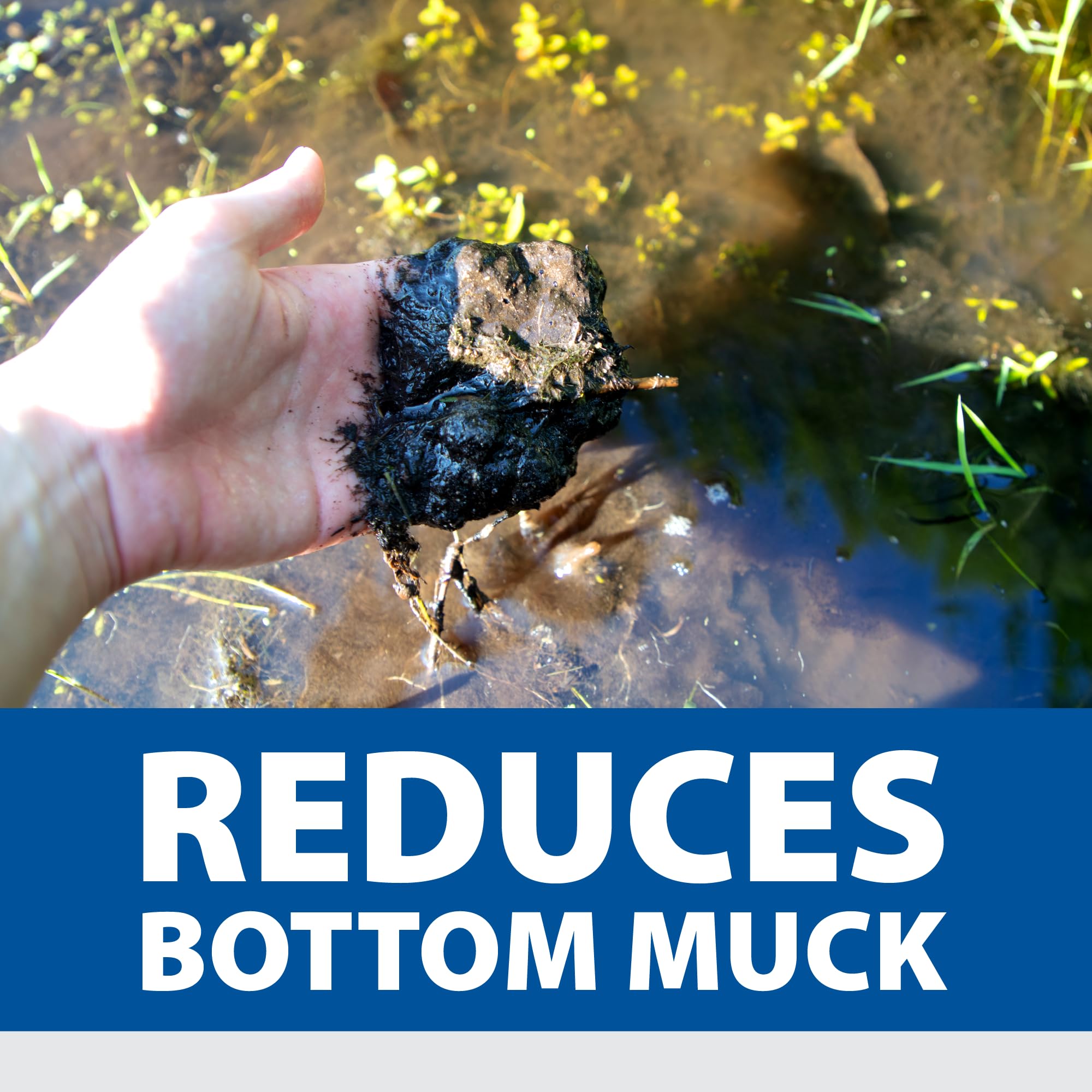 Pond Logic pond bottom with heavy muck showing before-treatment cleanup need