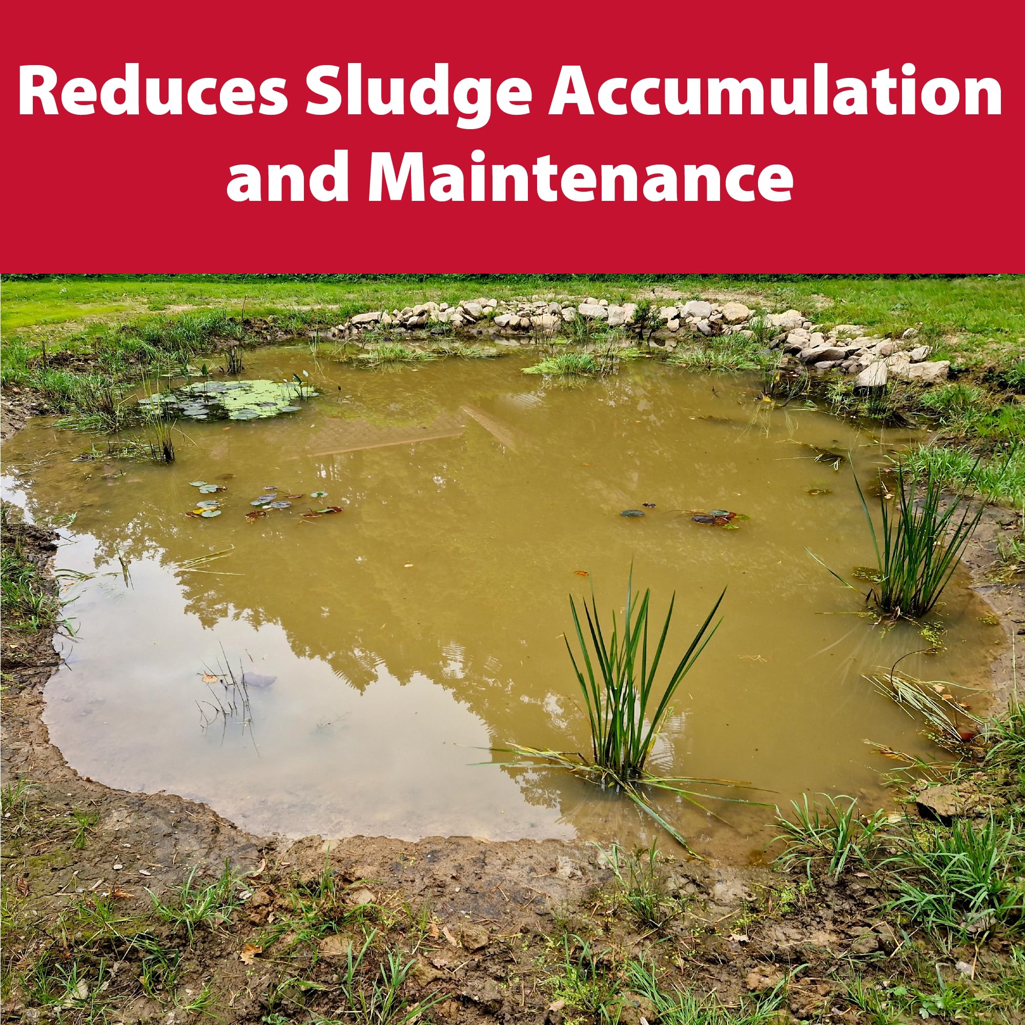 Pond Logic product label and instructions showing safe, simple application guidance