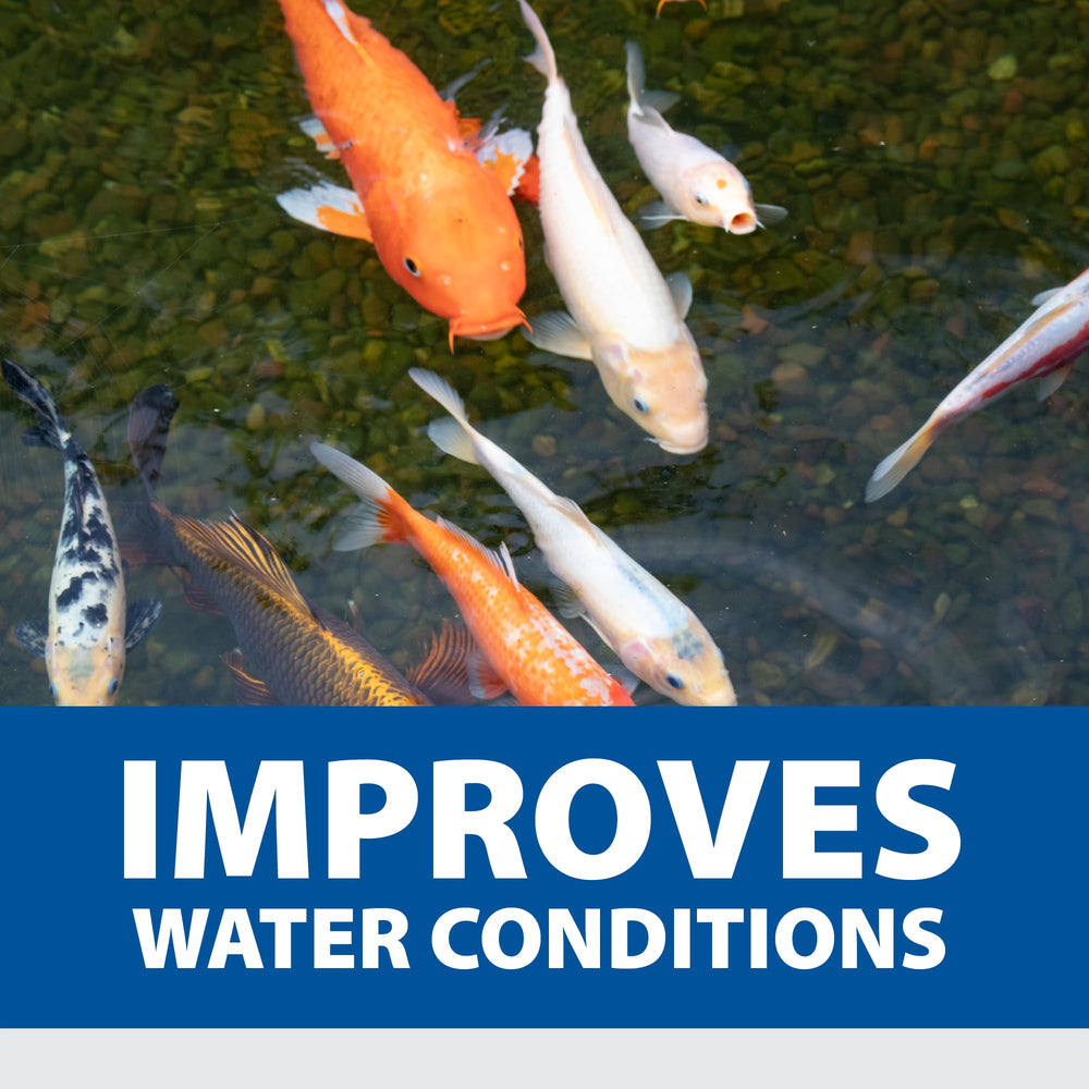 Pond Logic tablets being used in backyard pond showing wildlife-safe maintenance benefit