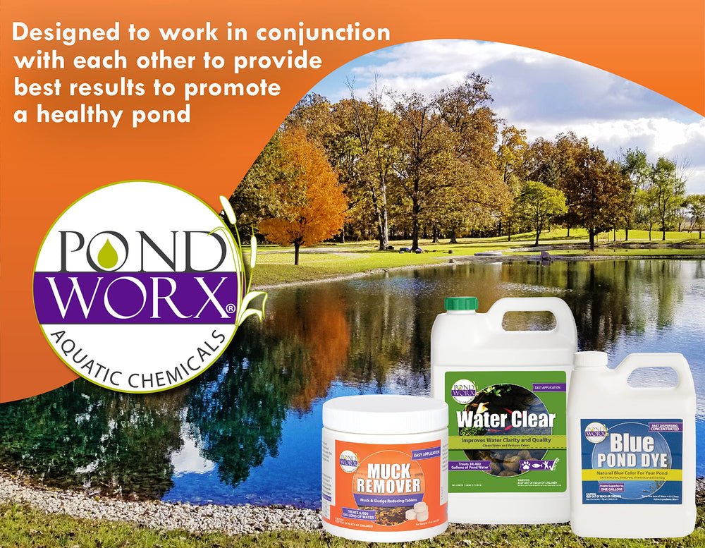 Multiple shoreline dosing with PondWorx to promote uniform bacterial spread