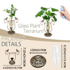 POXOHO glass tube with roots visible showing clear monitoring benefit