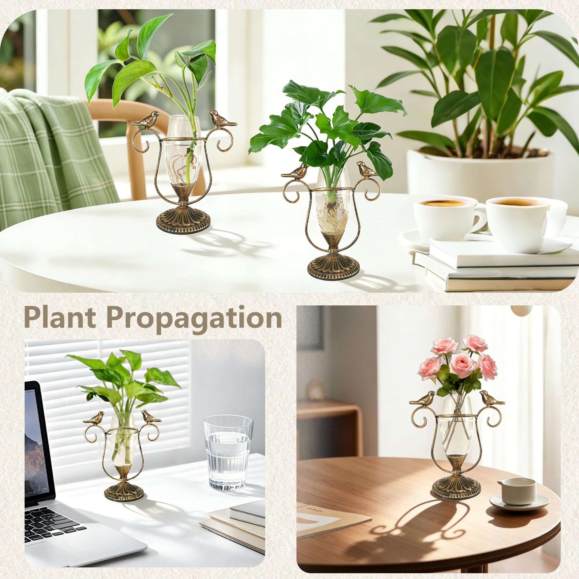 POXOHO on windowsill with sunlight showing plant growth and bright display benefit