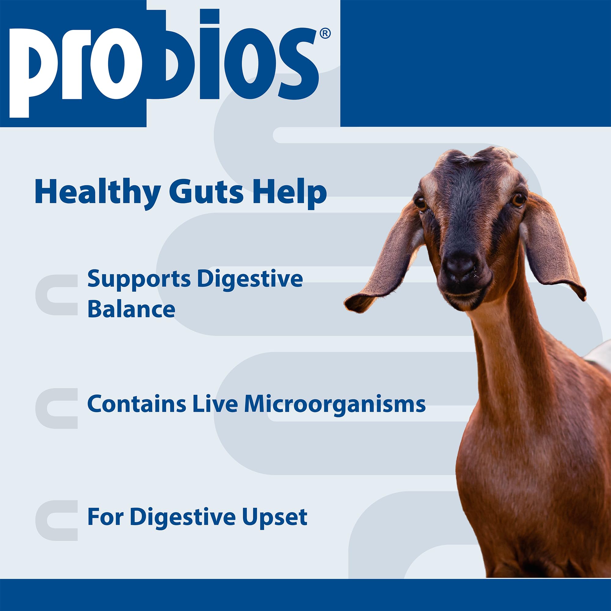 Probios gel texture close-up highlighting smooth consistency for easy dosing