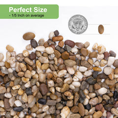 Pulovin closeup smooth texture showing pebble uniformity and clean finish