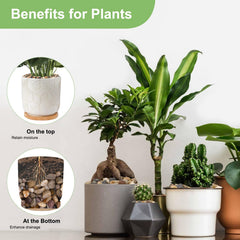 Pulovin in pot drainage layer illustrating improved water flow and root protection