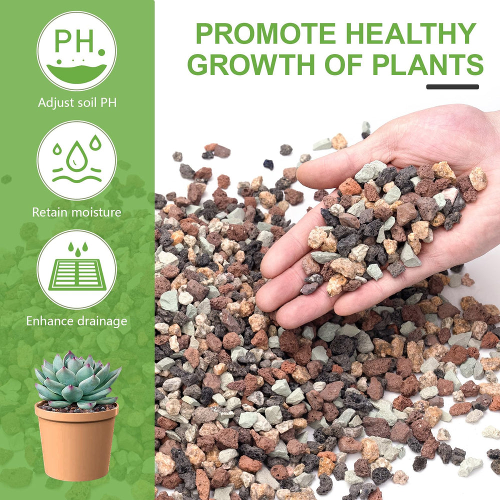 Pulovin used as top dressing on succulents for neat appearance