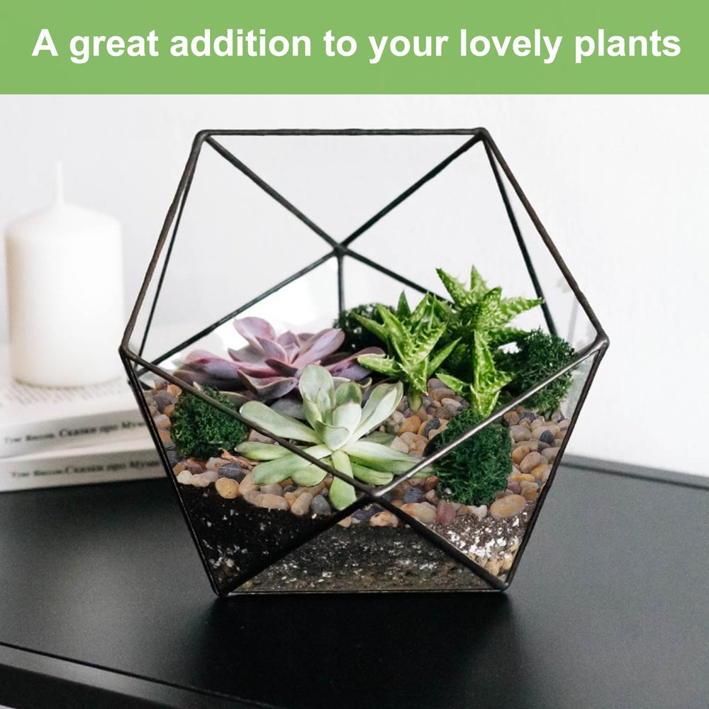 Pulovin terrarium styled arrangement demonstrating aesthetic depth and stability