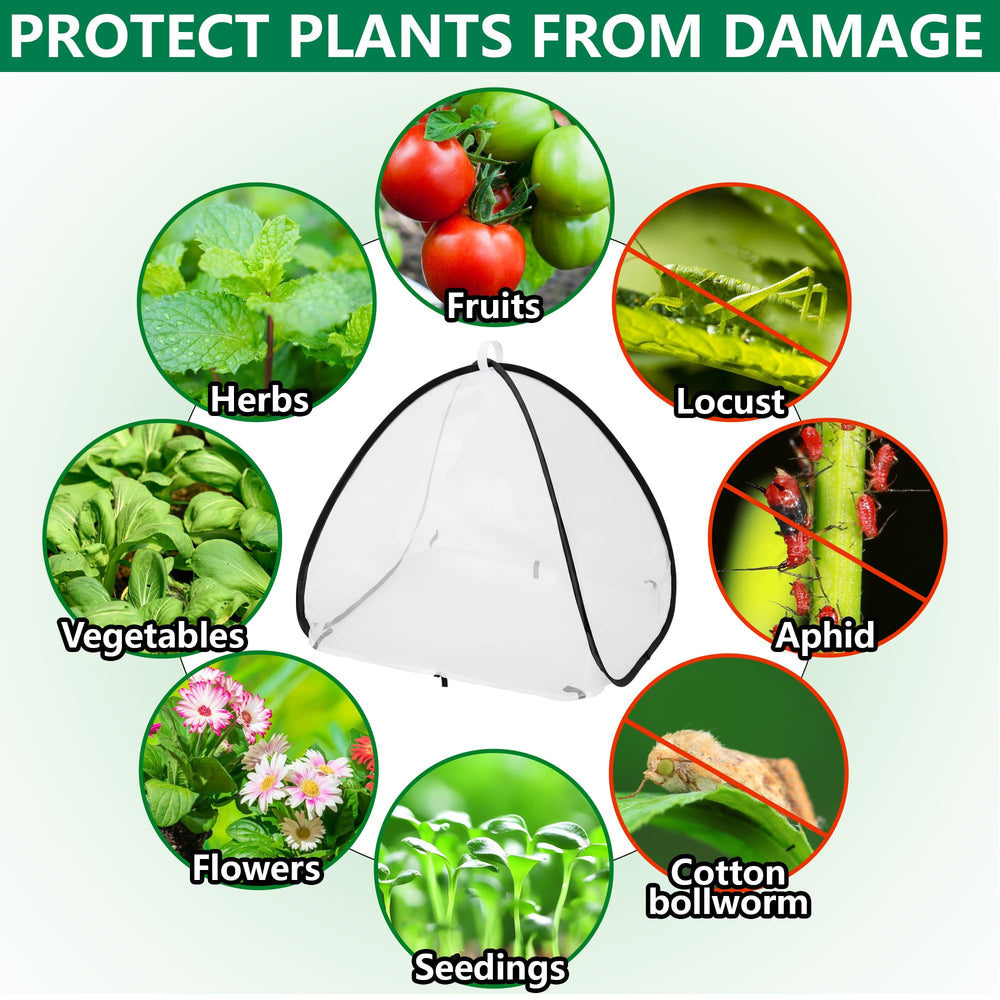 PURPLE STAR 1N tent in use over vegetable showing pest protection benefit