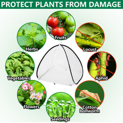 PURPLE STAR 1N tent in use over vegetable showing pest protection benefit
