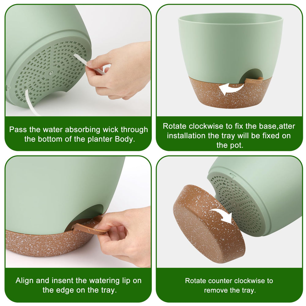 QRRICA top view showing removable watering feeder and reservoir for easy hydration checks