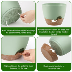 QRRICA top view showing removable watering feeder and reservoir for easy hydration checks