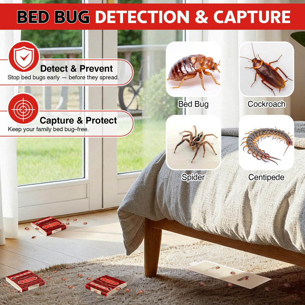 Qualirey adhesive close-up revealing sticky surface that securely immobilizes crawling pests