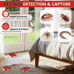 Qualirey adhesive close-up revealing sticky surface that securely immobilizes crawling pests